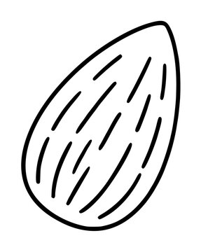 Hand-drawn vector icon of a single almond nut, minimalist black outline illustration on white background, scalable graphic design element for food, nutrition, and healthy eating concepts.
