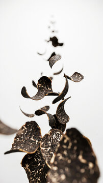 Black truffle slices levitating in mid-air against a white background