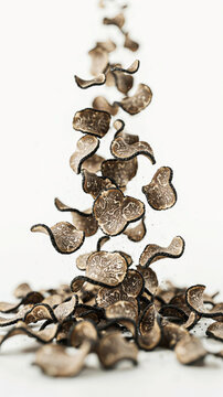 Black truffle slices levitating in mid-air against a white background