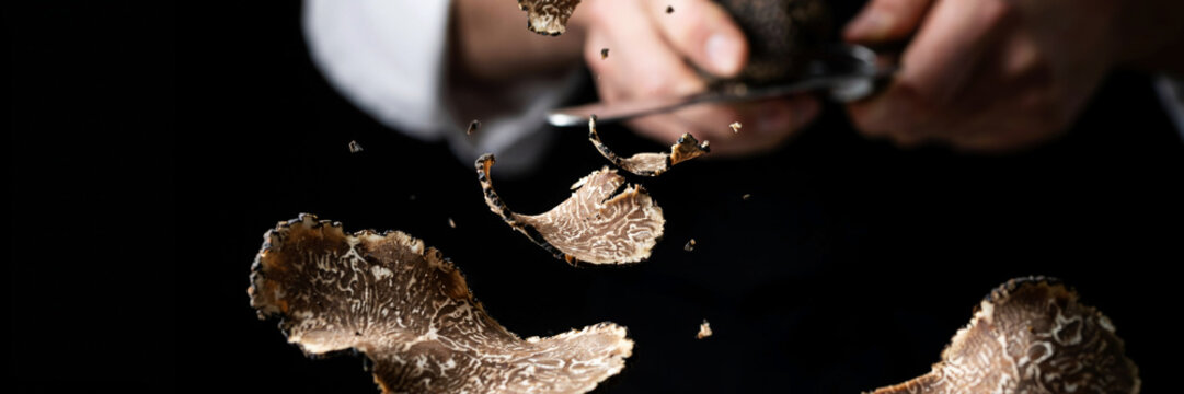 Black truffle slices levitating above hands with scissors in dark background