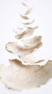 White truffle slices arranged in a cascading pattern on a white background