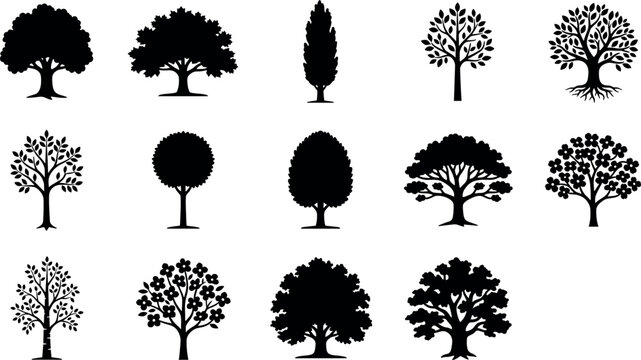 Deciduous tree silhouette icon set featuring oak maple birch blooming fruit trees roots and botanical forest nature vector elements