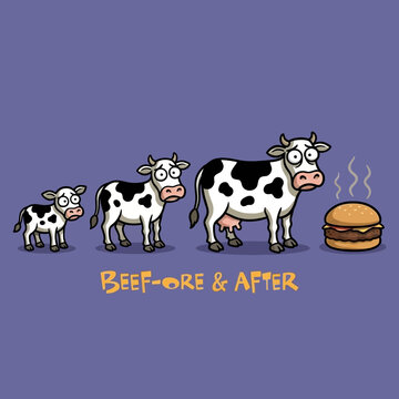 Cows looking at a hamburger.