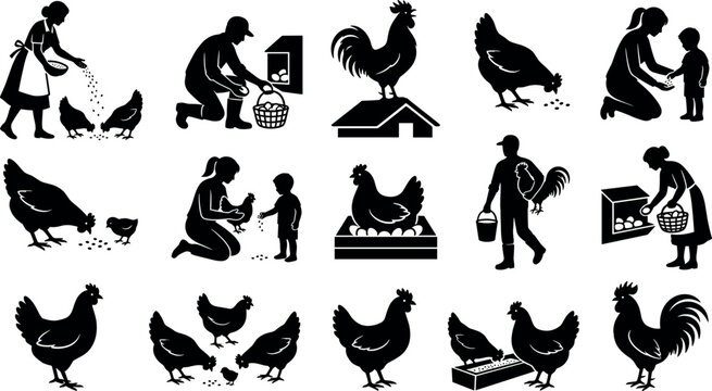 Chicken farming silhouettes farmers feeding hens collecting eggs rooster poultry agriculture vector icon illustration set