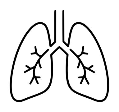 Human lungs vector icon with bronchial branches - minimalist line illustration for healthcare and medical design