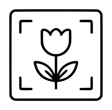 Tulip flower vector icon in frame - elegant line illustration for botanical and nature design projects