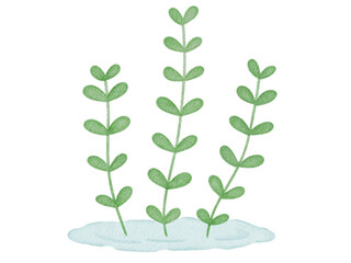 Obraz premium Watercolor Illustration of Green Plant Stems On Water 