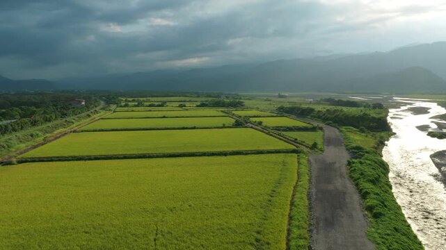 Aerial view of rice field in countryside of Yilan at morning, Taiwan