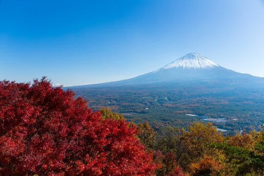 Autumn leaves with mount fuji view