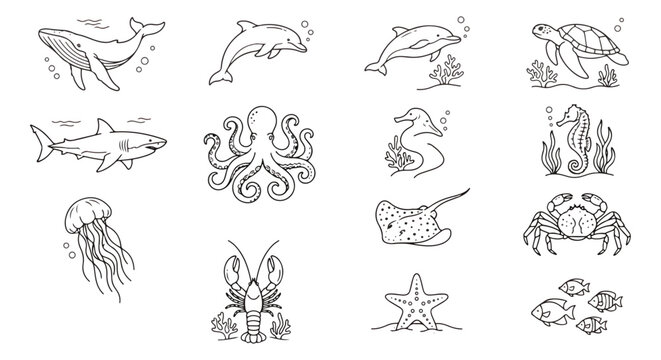 Minimalist sea life line art icons, set of 12 ocean animal vector illustrations, black and white marine wildlife sketches for coloring and logos