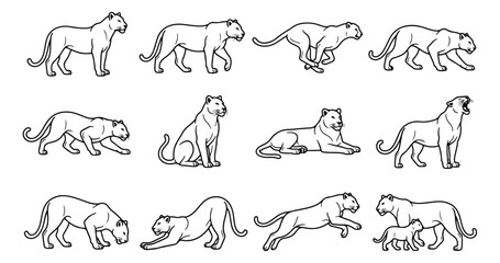 Minimalist lioness line art collection, set of 12 wild cat vector icons in various poses, black and white big cat animal illustrations for logo design © Farah-Studio