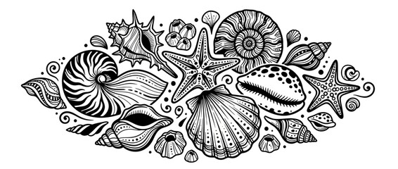 Hand-drawn marine shells and starfish collection © anis