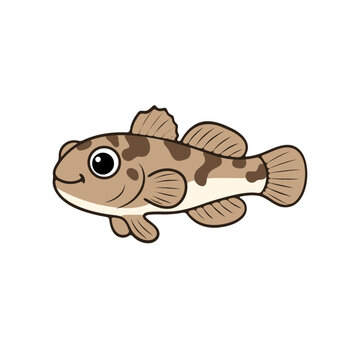 Hand drawn mudskipper chibi style