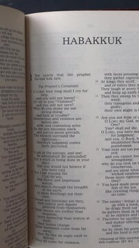 Opening to the Book of Habakkuk of the Old Testament in the Holy Bible. New Revised Standard Version. Vertical video.