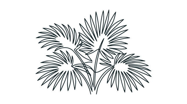 Stylized palm leaves illustration, minimalist line art, tropical plant, summer vacation, vector graphic