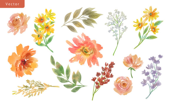 Watercolor-style Autumn botanical clipart set with autumn wildflowers and leaves for greeting cards, seasonal design, and surface design. Vector file.