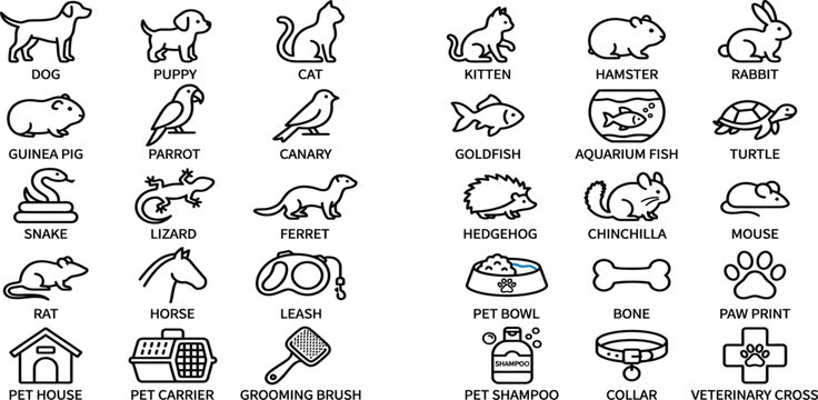 Collection of various pet and animal line art icons set with collection