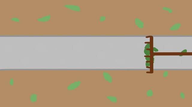A rake appears and clears away the leaves from the walkway or path.