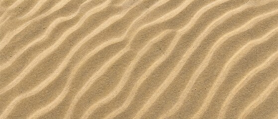 Golden sand texture with smooth ripples and natural background © Syed  Haseeb Jan