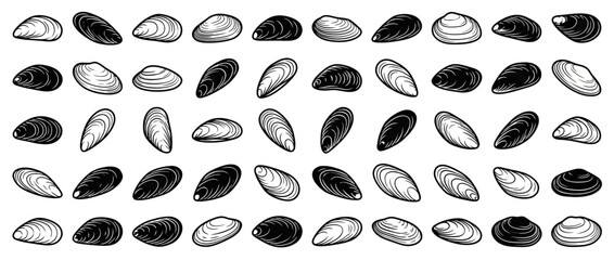 Seashells and Mussel Shells Pattern - Hand Drawn Style © Bris