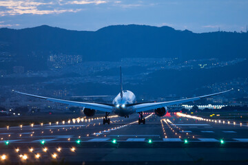 飛行機 B787 © naka