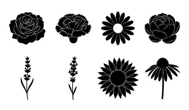 Flower head silhouette vector set featuring decorative garden blossoms rose sunflower daisy peony carnation lavender and echinacea elements for elegant card pattern designs