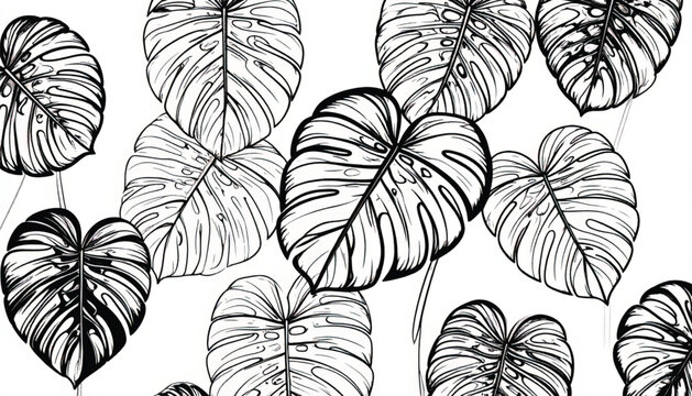 Monstera Leaf Black and White Vector Illustration - Minimalist Tropical Plant Design