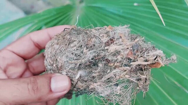 Detailed Macro View Of Small Intricately Woven Empty Bird Nest
