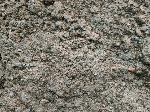A full-frame close-up of a coarse, weathered concrete surface embedded with small stone aggregates and tiny organic debris