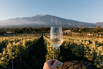 Obraz premium A glass of white wine held against the dramatic volcanic backdrop of Mount Etna in Sicily, overlooking sun-drenched golden vineyard rows for travel and viticulture imagery