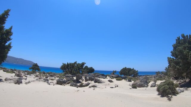 Video of a walk among the juniper cedar trees at Kedrodasos Beach in Crete.