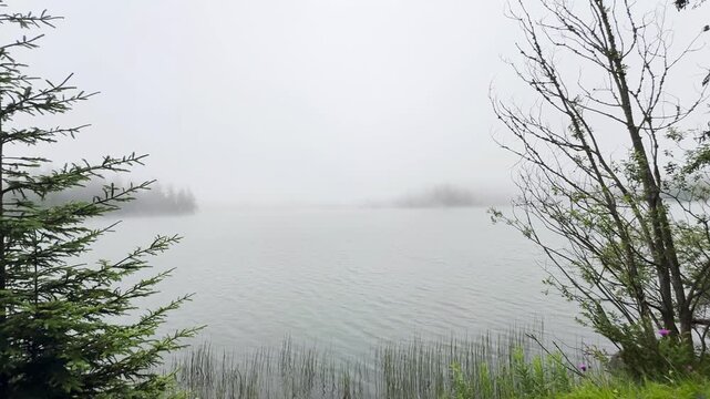 Strbske Pleso Mountain Lake Slovakia

Misty morning view across Strbske Pleso mountain lake surrounded by dense alpine forest under low clouds, High Tatras, Slovakia, 20 July 2026.

