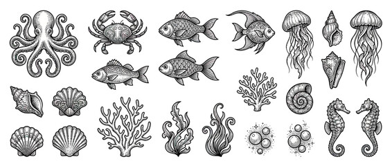 Detailed Hand-Drawn Underwater Sea Life Collection © din