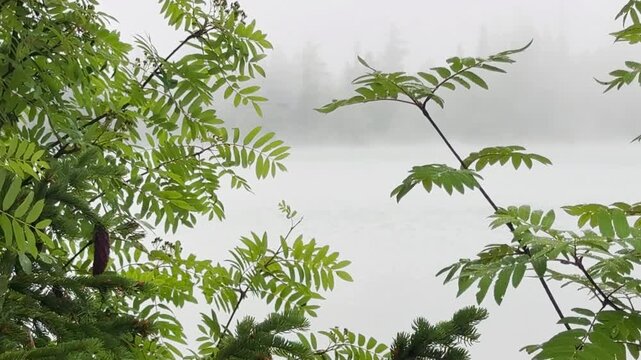 Strbske Pleso Mountain Lake Slovakia

Misty morning view across Strbske Pleso mountain lake surrounded by dense alpine forest under low clouds, High Tatras, Slovakia, 20 July 2026.

