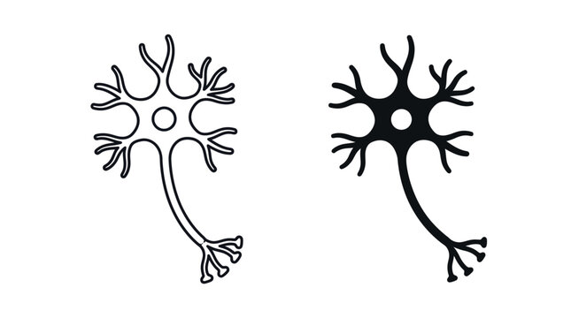Human Nerve Cell Neuron Illustration with Outline and Silhouette Versions