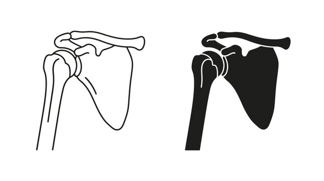 Minimalist shoulder joint icons displaying human scapula and humerus bone anatomy
