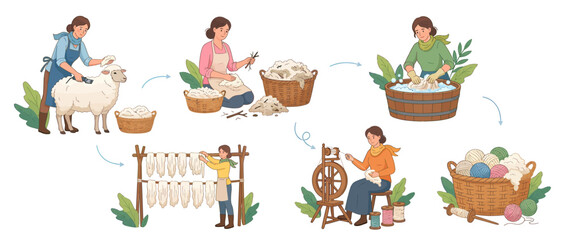 Sheep Wool Processing Stages from Shearing to Yarn © febri