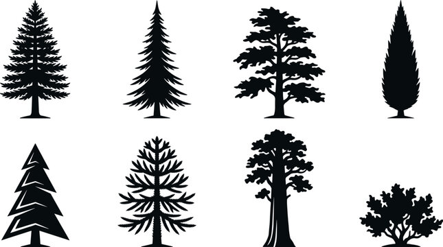 Pine and evergreen coniferous tree silhouette collection featuring spruce cedar cypress sequoia fir and wild forest bush botanical icons pack
