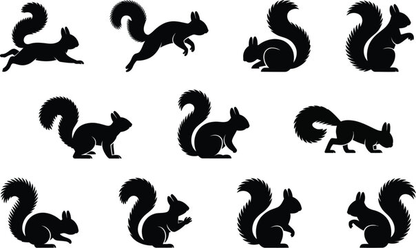 Set of various squirrel poses isolated on a white background in a detailed black graphic silhouette