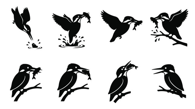 A set of eight kingfisher catching fish silhouette vector icon illustrations on a white background
