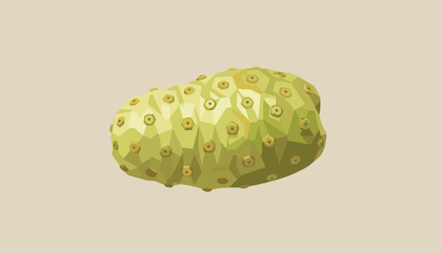 Low poly noni fruit illustration showcasing geometric facets and textured pattern on a neutral background.