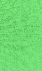 Fototapeta premium Light green textured paper abstract background for eco friendly digital layouts and fresh organic craft design.