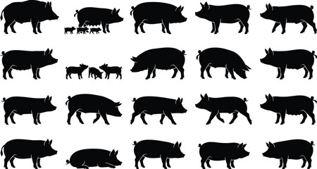 Pig silhouette collection featuring adult pigs and piglets in standing, walking, and lying poses for farming and design projects © Rubina
