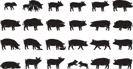Pig silhouette collection featuring piglets and adult pigs in standing, walking, eating, lying, and interactive poses for farming projects © Rubina