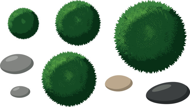 Marimo Moss Ball Vector Set with Smooth River Stones and Pebbles for Freshwater Aquarium Aquascaping, Eco-Friendly Plant Care, and Zen Garden Designs