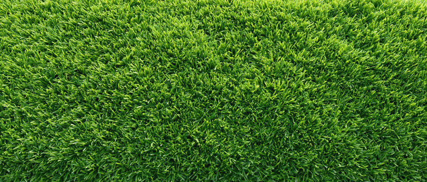 Green grass texture top view overhead view natural pattern lush lawn fresh green dense turf abstract background outdoor surface close up