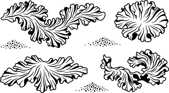 Sea Lettuce Algae Vector Set Featuring Ruffled Ulva Lactuca Foliage and Stippled Sand Mound Elements for Marine Biology Studies and Coastal Ecosystem Graphics