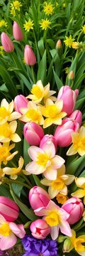 Fresh bouquet of tulips and daffodils surrounded by lush greenery, colors, ||flowers
