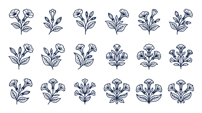 Vintage floral line art collection, 18 hand drawn morning glory flower icons, botanical vector illustrations for wedding invitations and branding