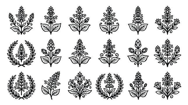 Vintage floral botanical icons set, black ink hand drawn herb and flower vector elements, 18 decorative organic plant illustrations for logo design